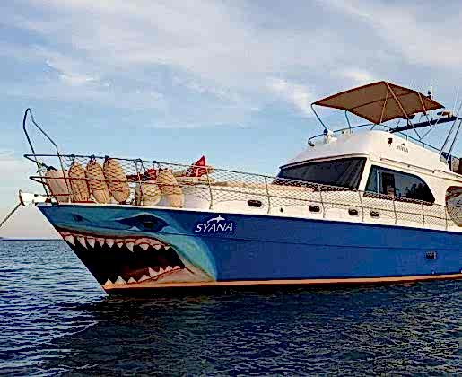 Motoryat Syana 14 mt,8 Kişi